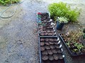 IMG_20260713_191934
