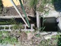 IMG_20260714_085834