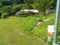 IMG_20260714_085943