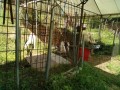 IMG_20260714_091619