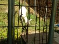 IMG_20260714_091707