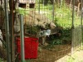 IMG_20260714_091711