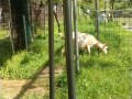 IMG_20260714_091714