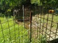 IMG_20260714_092144