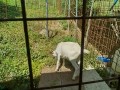 IMG_20260714_092224