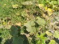 IMG_20260714_100436