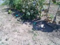 IMG_20260714_100448