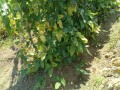 IMG_20260714_100454