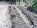 IMG_20260714_102718