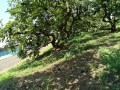 IMG_20260714_102831