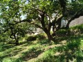 IMG_20260714_102833