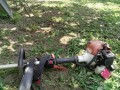 IMG_20260714_121637