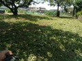 IMG_20260714_121640