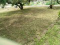 IMG_20260715_101302