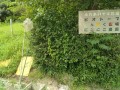 IMG_20260715_103903