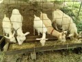 IMG_20260715_104211