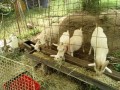 IMG_20260715_104217