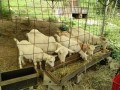 IMG_20260715_104224