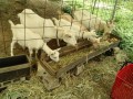 IMG_20260715_104237
