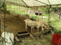 IMG_20260715_104336
