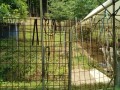IMG_20260715_104730