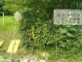 IMG_20260716_084716