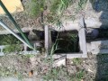 IMG_20260716_084721