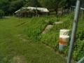 IMG_20260716_084758