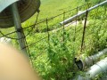 IMG_20260716_084824