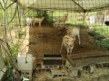 IMG_20260716_085248