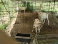IMG_20260716_085253