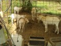 IMG_20260716_085426