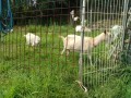 IMG_20260716_091317