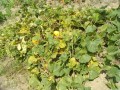 IMG_20260716_120404