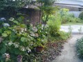 IMG_20260716_185828