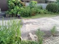IMG_20260716_185833
