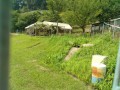 IMG_20260717_084813