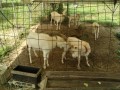 IMG_20260717_085649