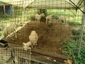 IMG_20260717_085655