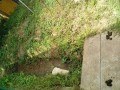 IMG_20260717_085710