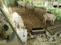 IMG_20260717_085714