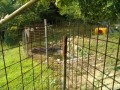 IMG_20260717_085729