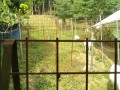 IMG_20260717_085754
