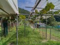 IMG_20260717_085802