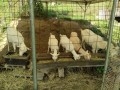 IMG_20260717_093256