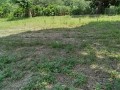 IMG_20260717_103151