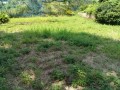 IMG_20260717_103154