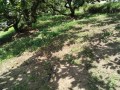 IMG_20260717_112913