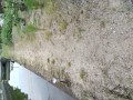 IMG_20260717_182427