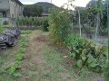 IMG_20260717_183622